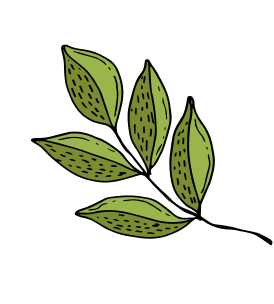 Illustration of five green leaves in a circle